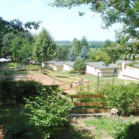 Bungalows Zur Alten Faehre Werder  Pokoj fotografie