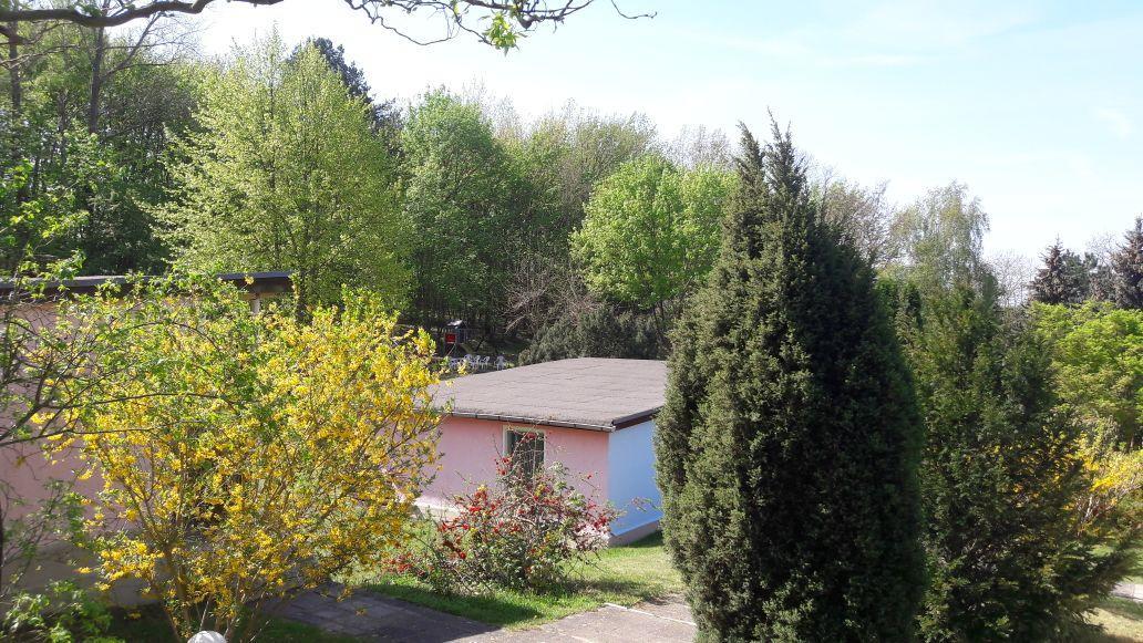 Bungalows Zur Alten Faehre Werder  Exteriér fotografie