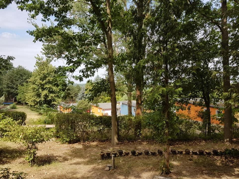 Bungalows Zur Alten Faehre Werder  Exteriér fotografie